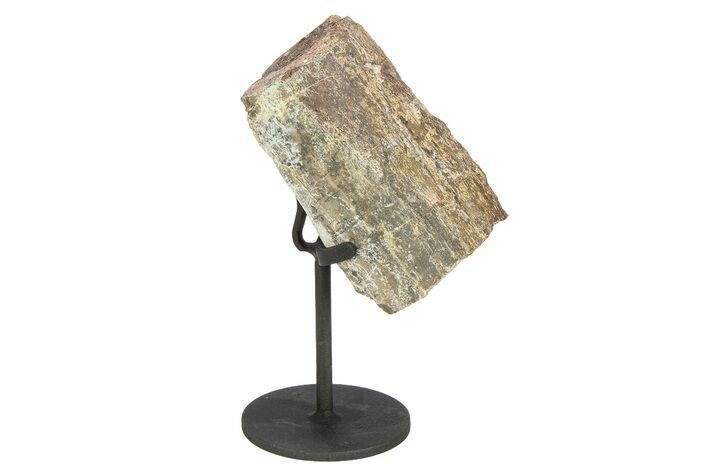 Fossil Sauropod Rib Bone Section w/ Metal Stand - Colorado #294920